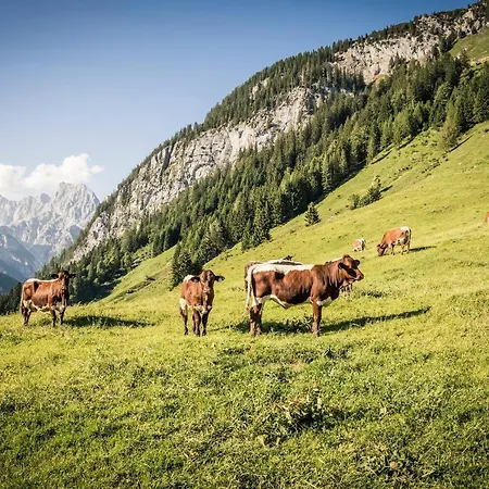 Hoehenflug * Berchtesgaden